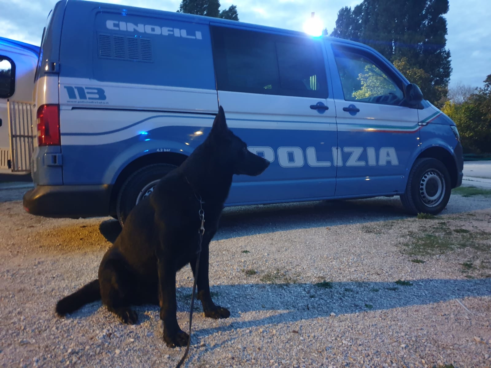 Parma: Controlli Straordinari Interforze, Straniero Denunciato Per ...