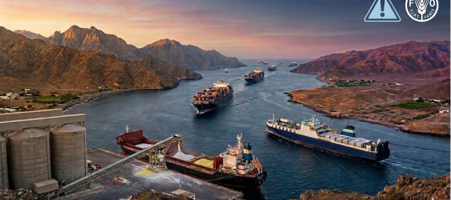 Stretto di Hormuz, le risorse che passano non sono solo gas e petrolio